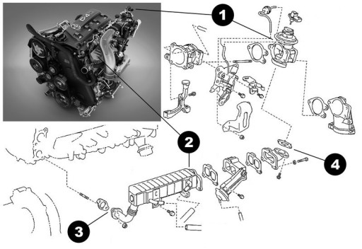 Toyota Land Cruiser Prado J150, с двигателем 3.0L 1KD-FTV - Как заглушить EGR